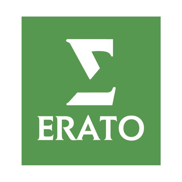 Demo logo